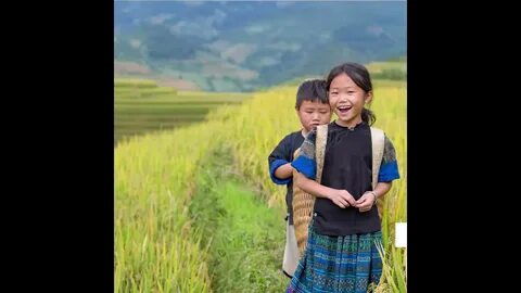 Hotspot Matrix và Bảo Anh, Phương Mỹ Chi và loạt sao Việt bị réo tên vào drama của Bảo_Đào tạo kỹ năng edit