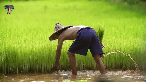 Video ngắn – Giải pháp truyền thông thông minh cho doanh nghiệp nhỏ_Video phân phối nền tảng