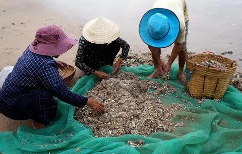 Sự Bùng Nổ Của Video Ngắn và Trí Tuệ Nhân Tạo: Vai Trò Thiết Yếu Của Đào Tạo Kỹ Năng Sáng Tạo Nội Dung_Cộng đồng khởi nghiệp