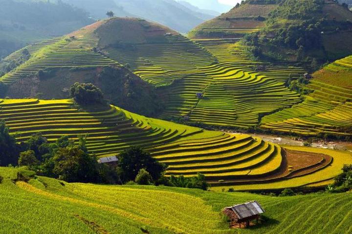 Xu hướng 3 kiểu giày