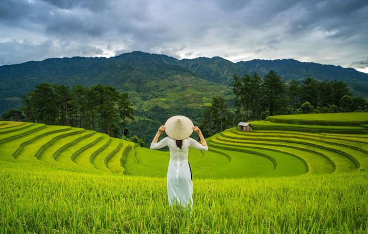 Sự Bùng Nổ Của Video Ngắn và Trí Tuệ Nhân Tạo: Vai Trò Thiết Yếu Của Đào Tạo Kỹ Năng Sáng Tạo Nội Dung