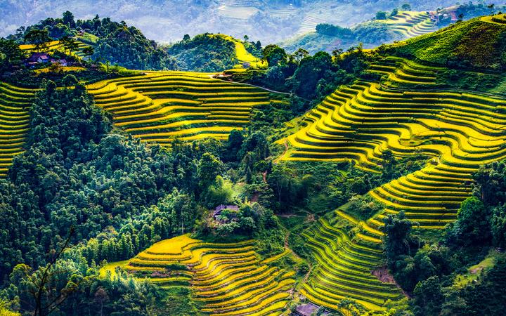 Video ngắn – Giải pháp truyền thông thông minh cho doanh nghiệp nhỏ