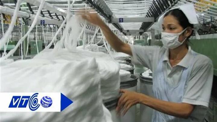 Sự Bùng Nổ Của Video Ngắn và Trí Tuệ Nhân Tạo: Vai Trò Thiết Yếu Của Đào Tạo Kỹ Năng Sáng Tạo Nội Dung