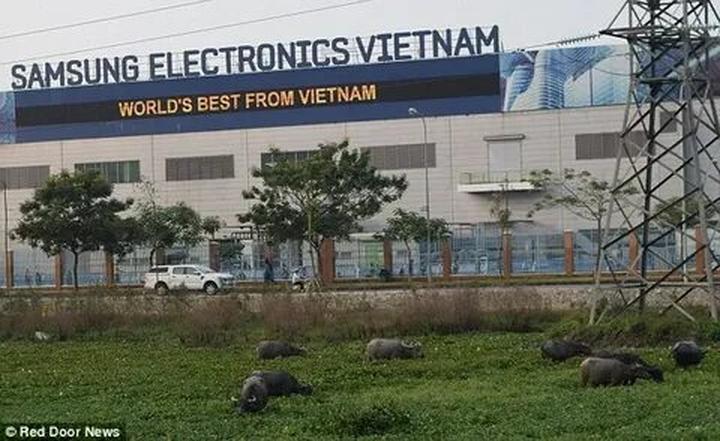 Hotspot Matrix đồng hành cùng Ngày hội Ý tưởng Khởi nghiệp tại UEL